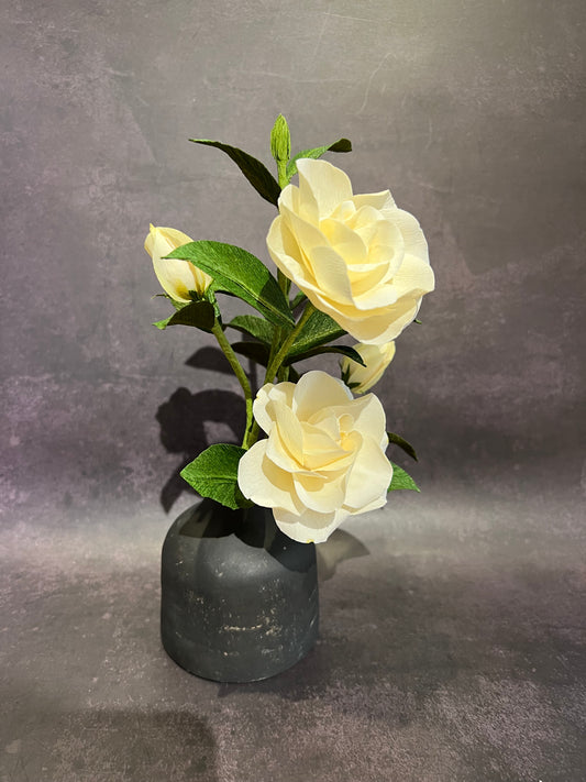Gardenia in vase