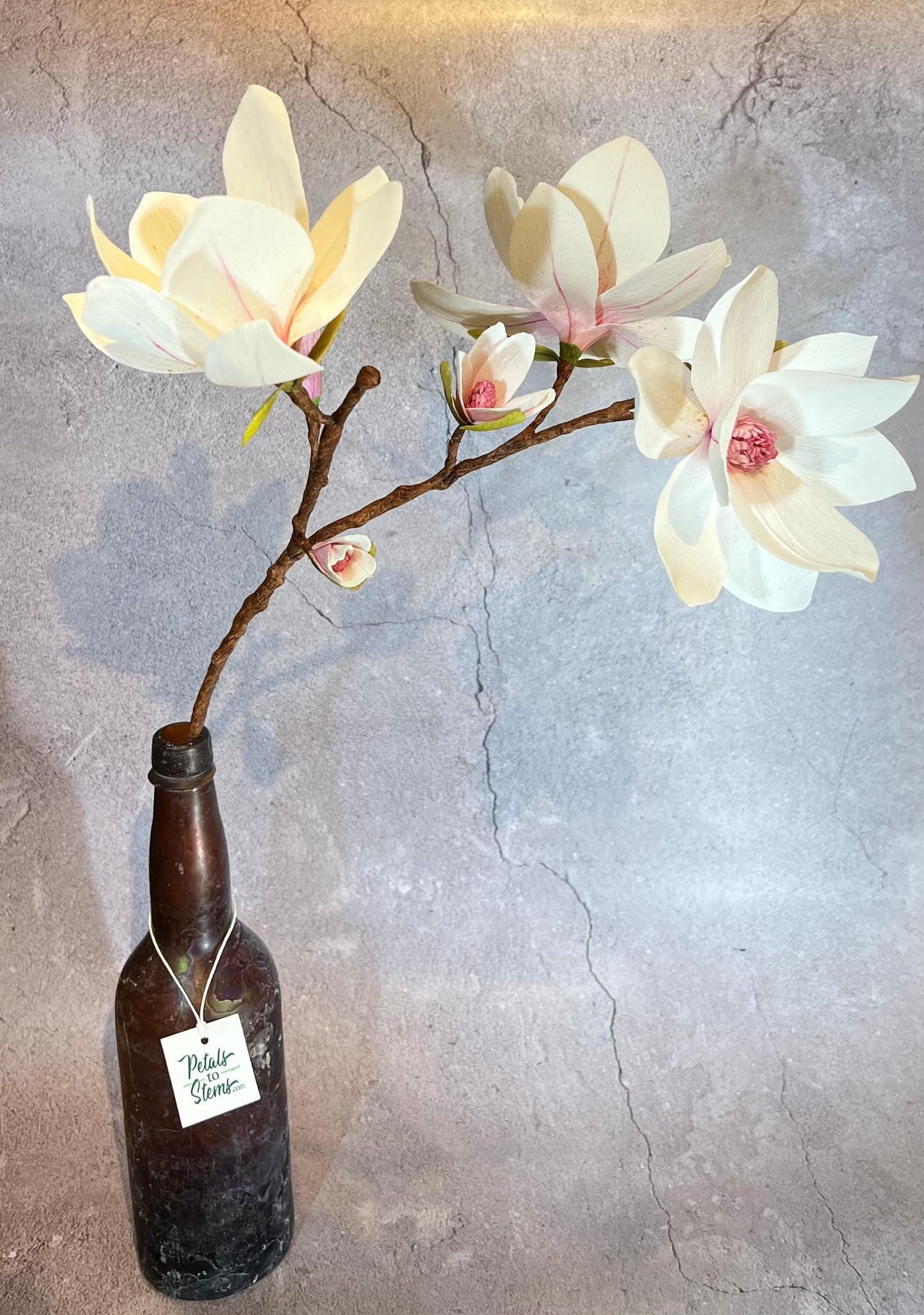 White with Fuschia Magnolia