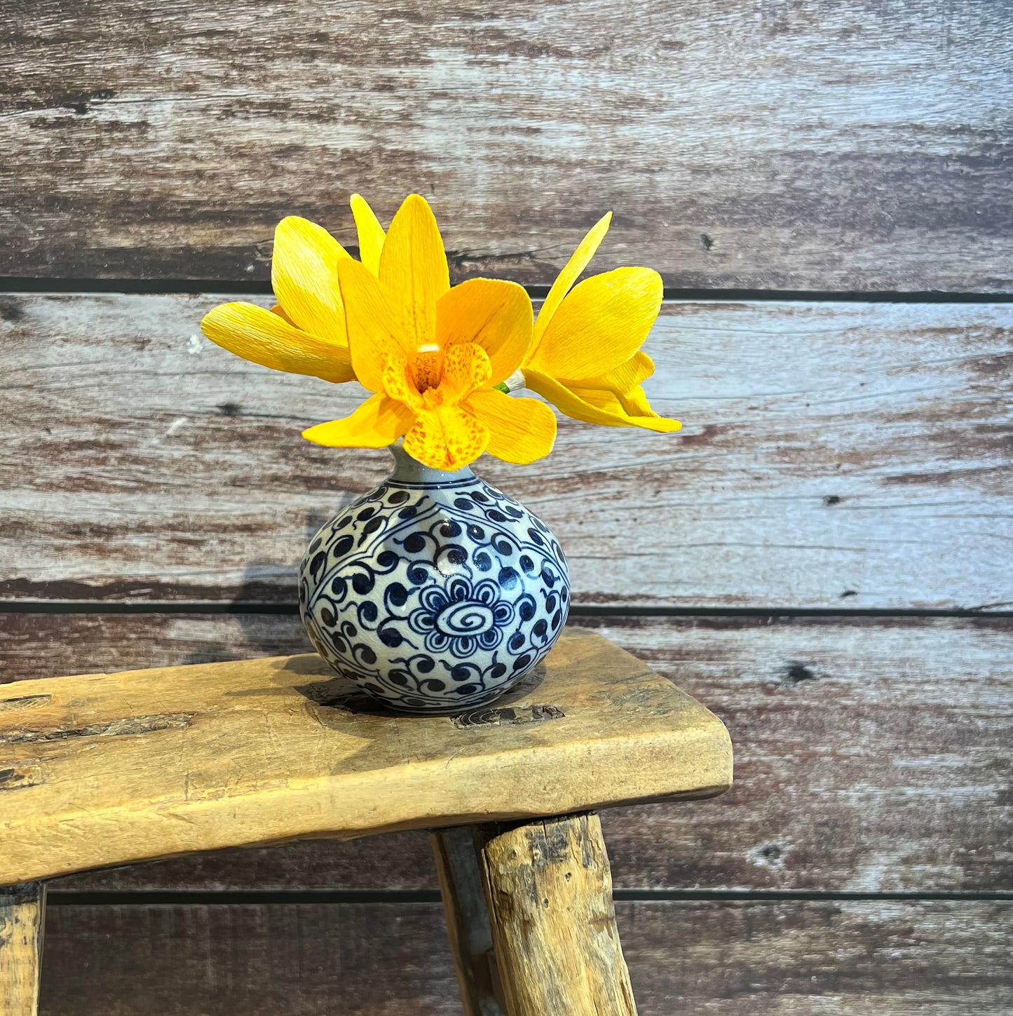 Vased Cymbidiums