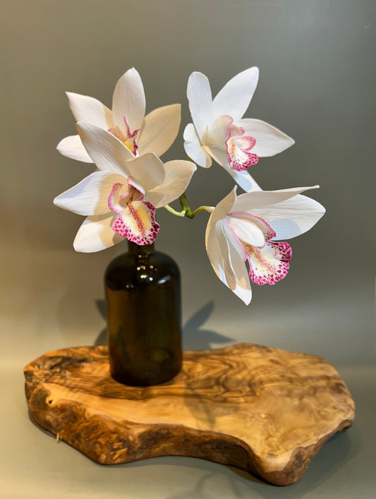 Cymbidium Orchid in vase