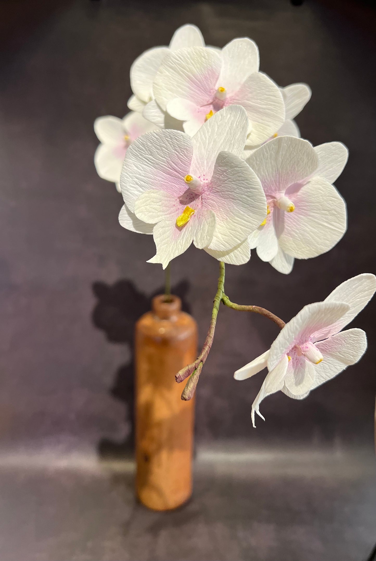 Phalaenopsis in Gin Vase