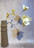 White with green Magnolia