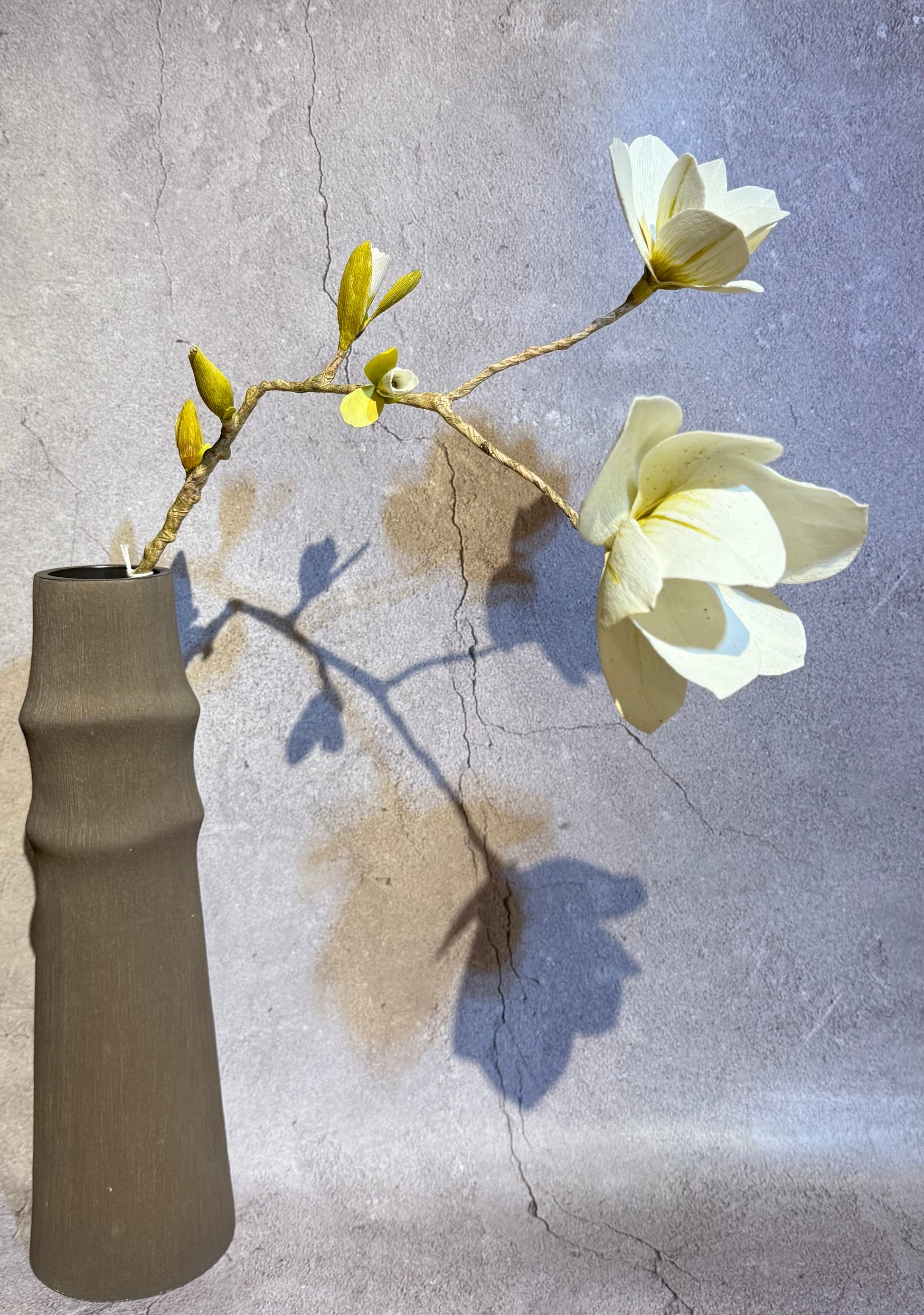 White with green Magnolia