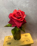 Large red velvet short stem rose in vase