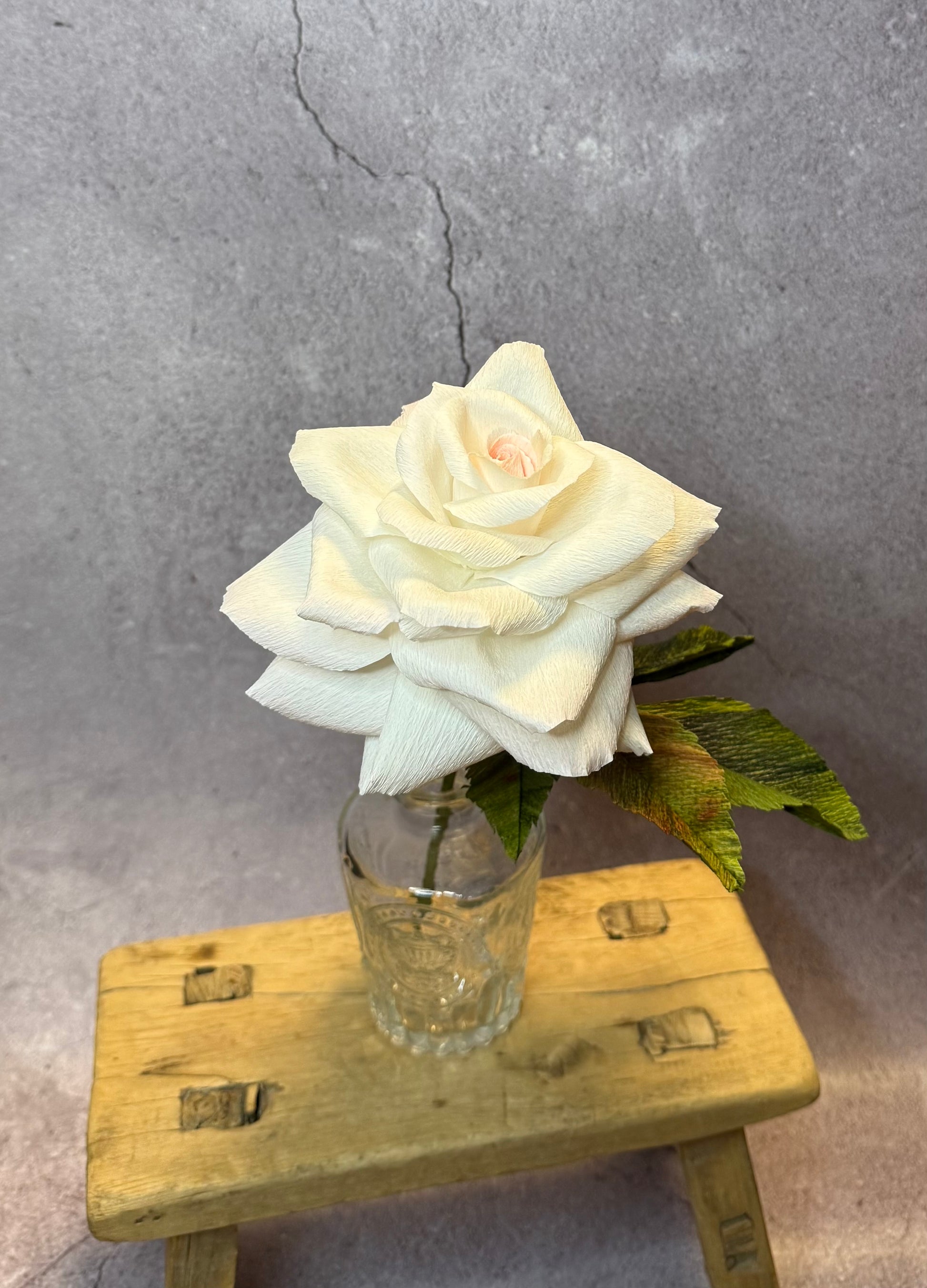 Large short stem white rose in vase