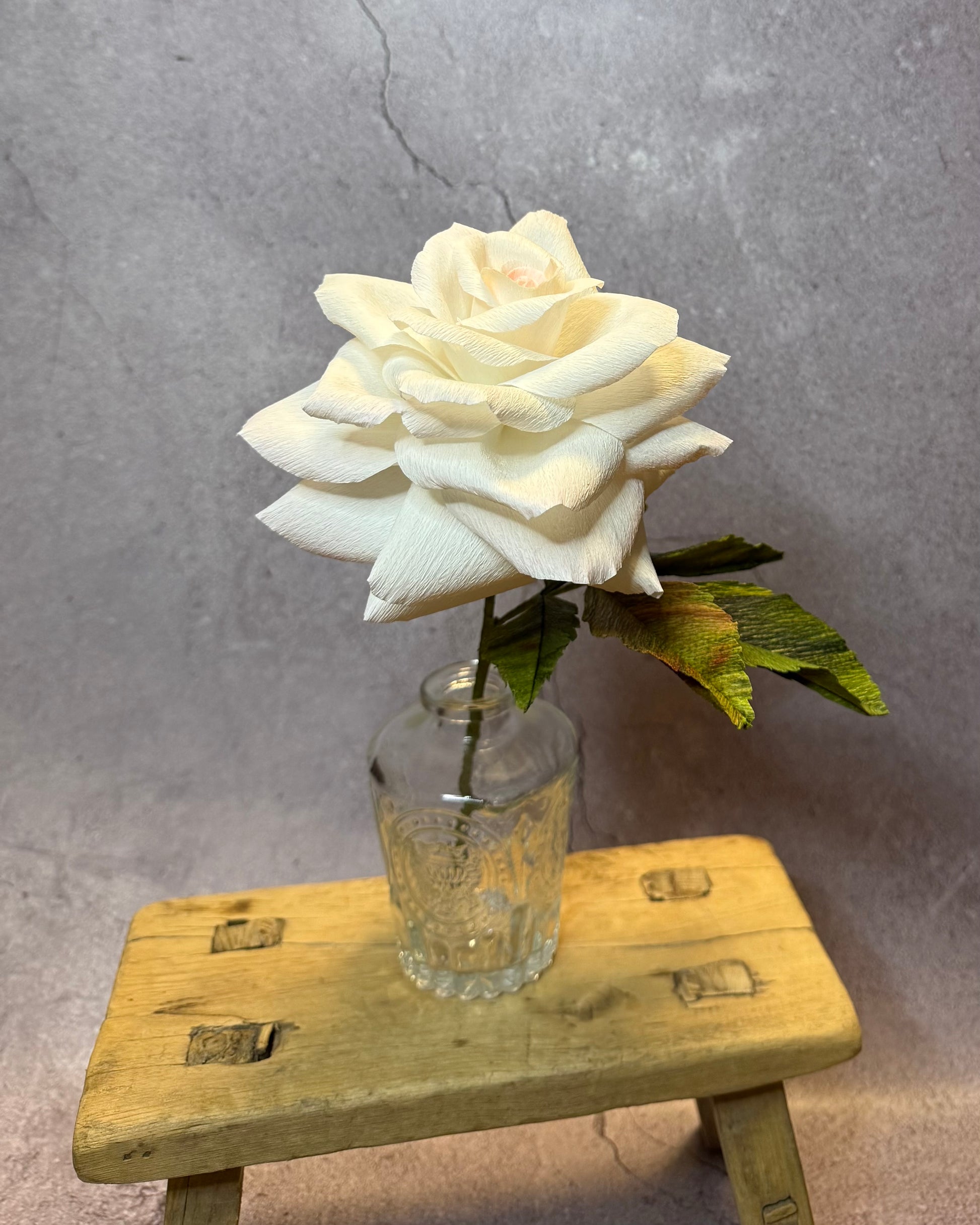 Large short stem white rose in vase