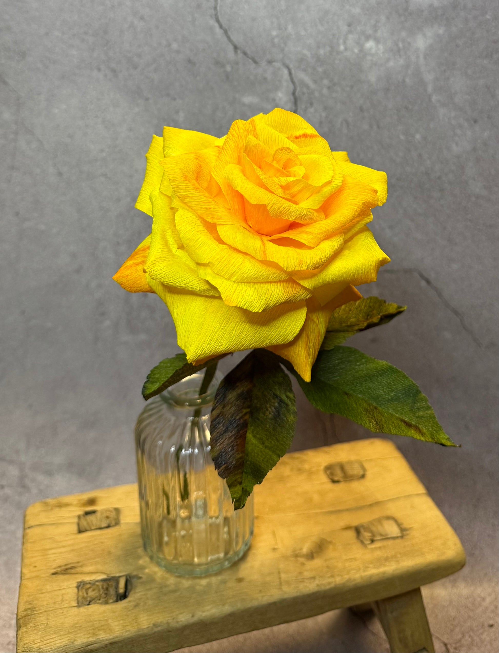 Large yellow short stem rose