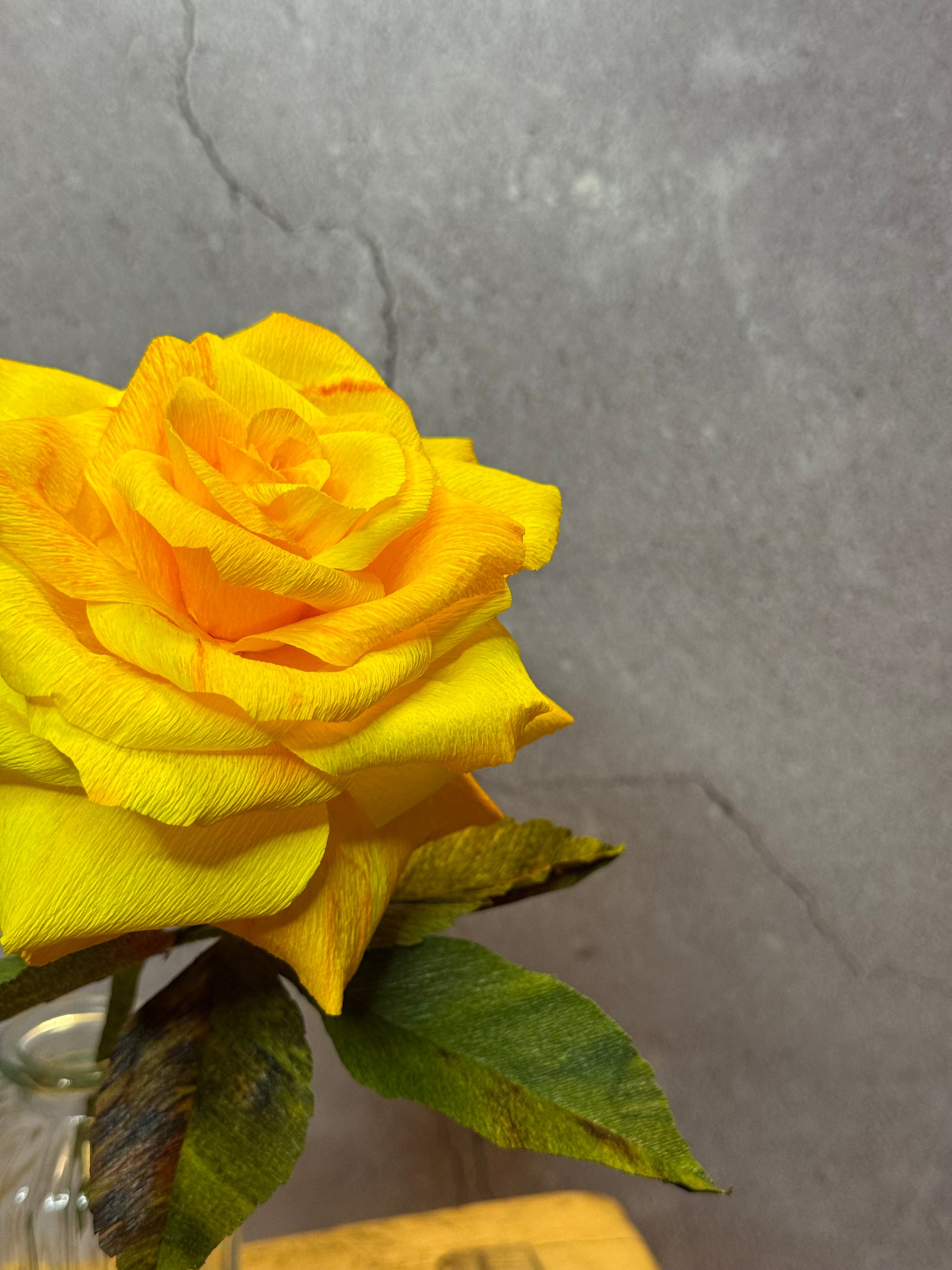 Large yellow short stem rose