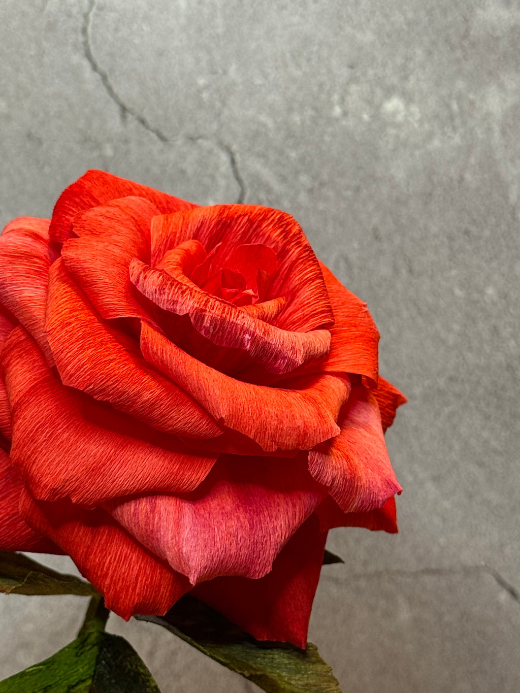 Short Stem Rose in Vase