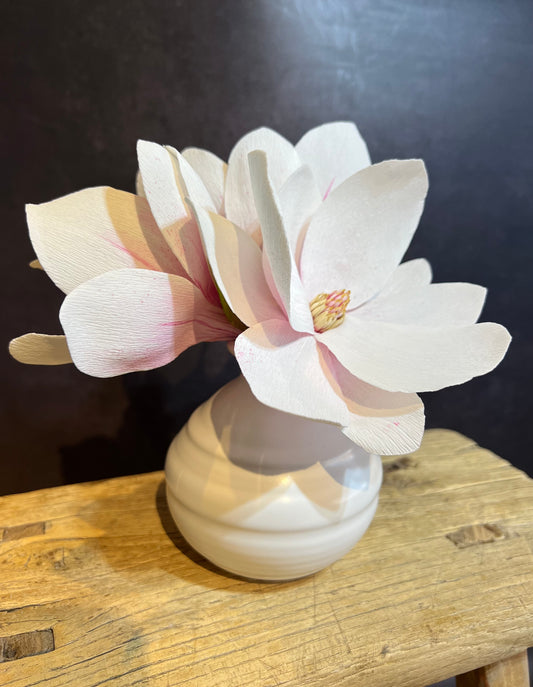 Magnolias in vase