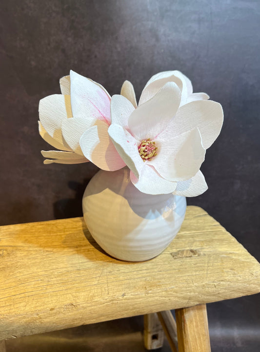 Magnolias in vase