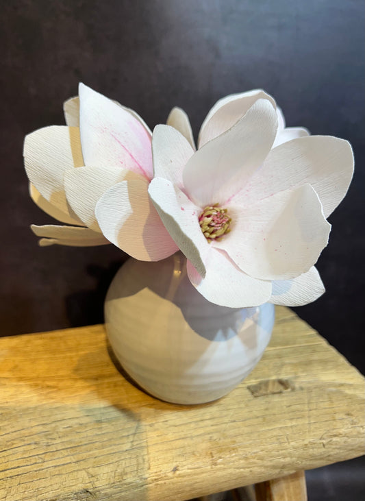 Magnolias in vase