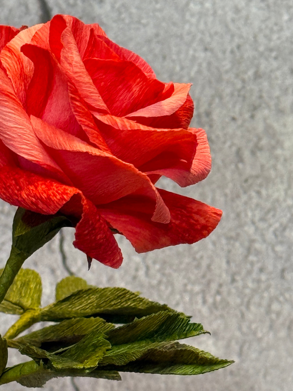 Coral Mini Rose Bouquet in Vase