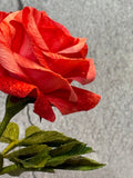 Coral Mini Rose Bouquet in Vase
