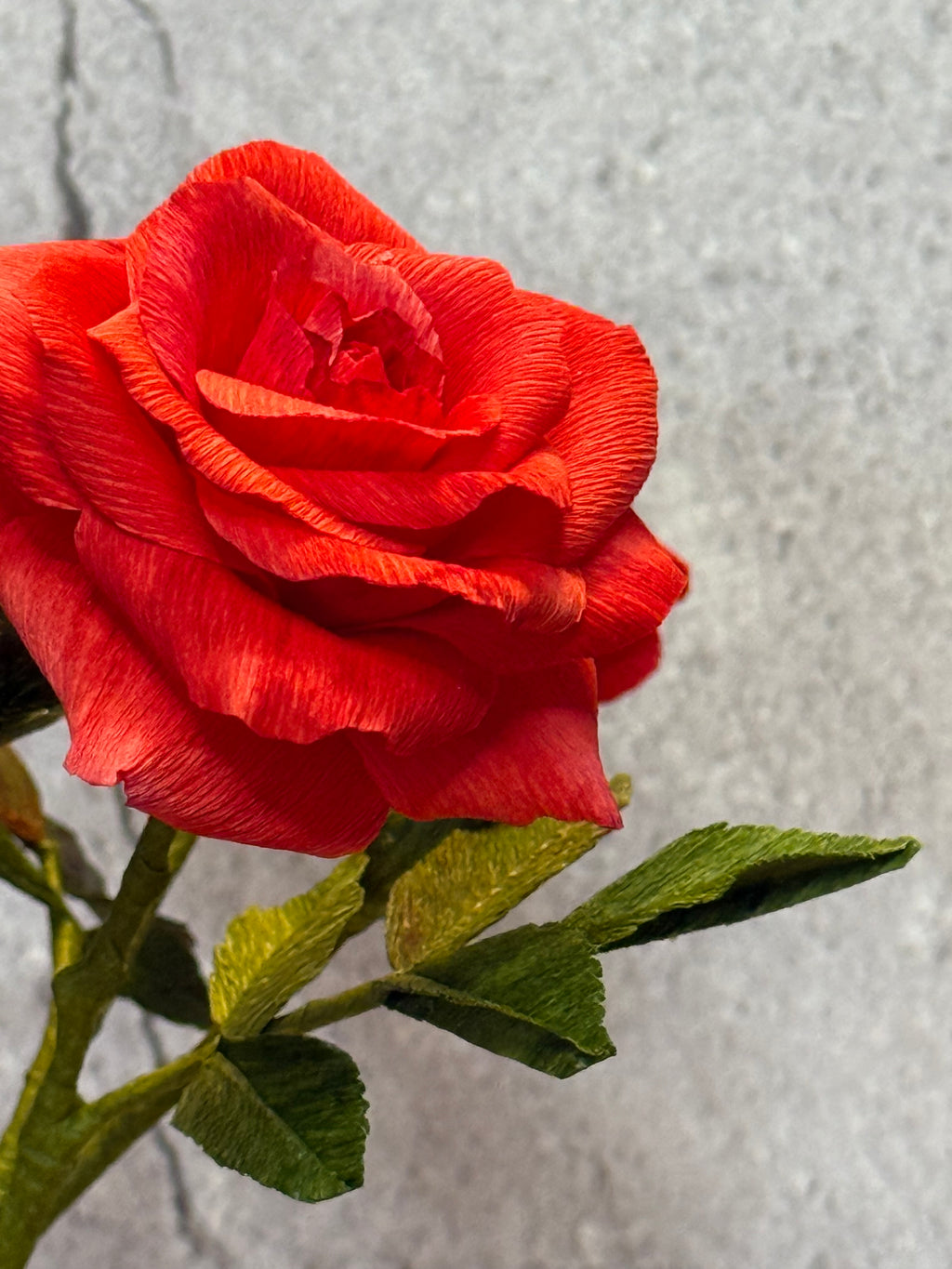 Bright Red Mini Rose Bouquet in Vase