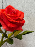 Bright Red Mini Rose Bouquet in Vase