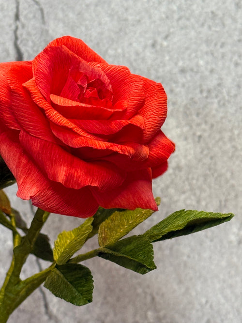 Bright Red Mini Rose Bouquet in Vase