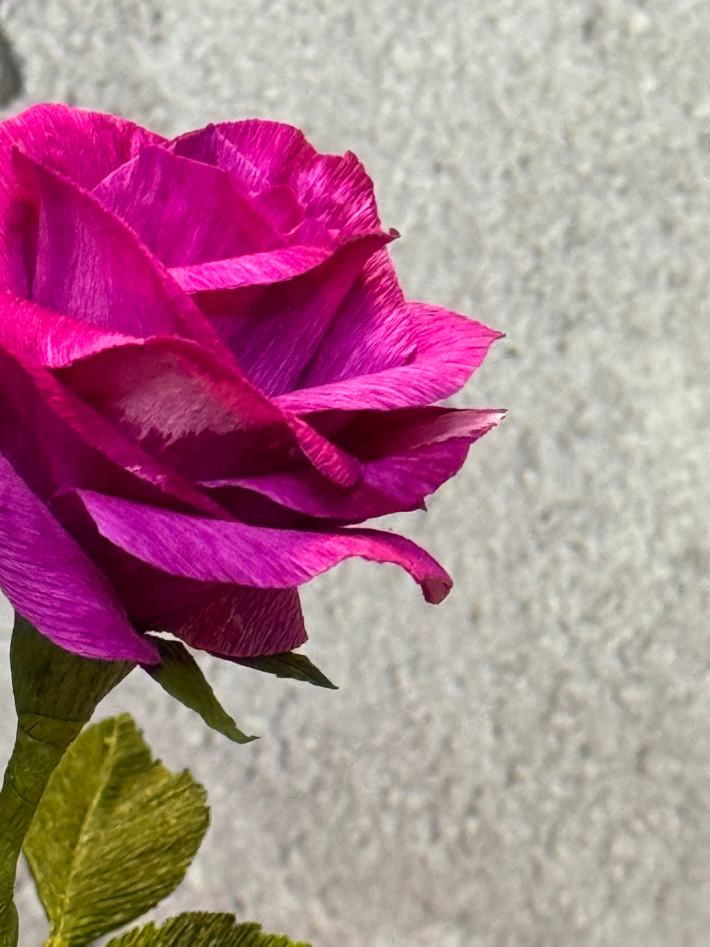 Single Fuchsia Min Rose in Vase