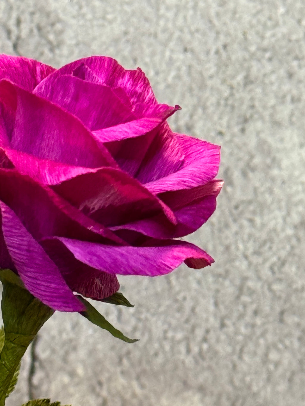 Single Fuchsia Min Rose in Vase