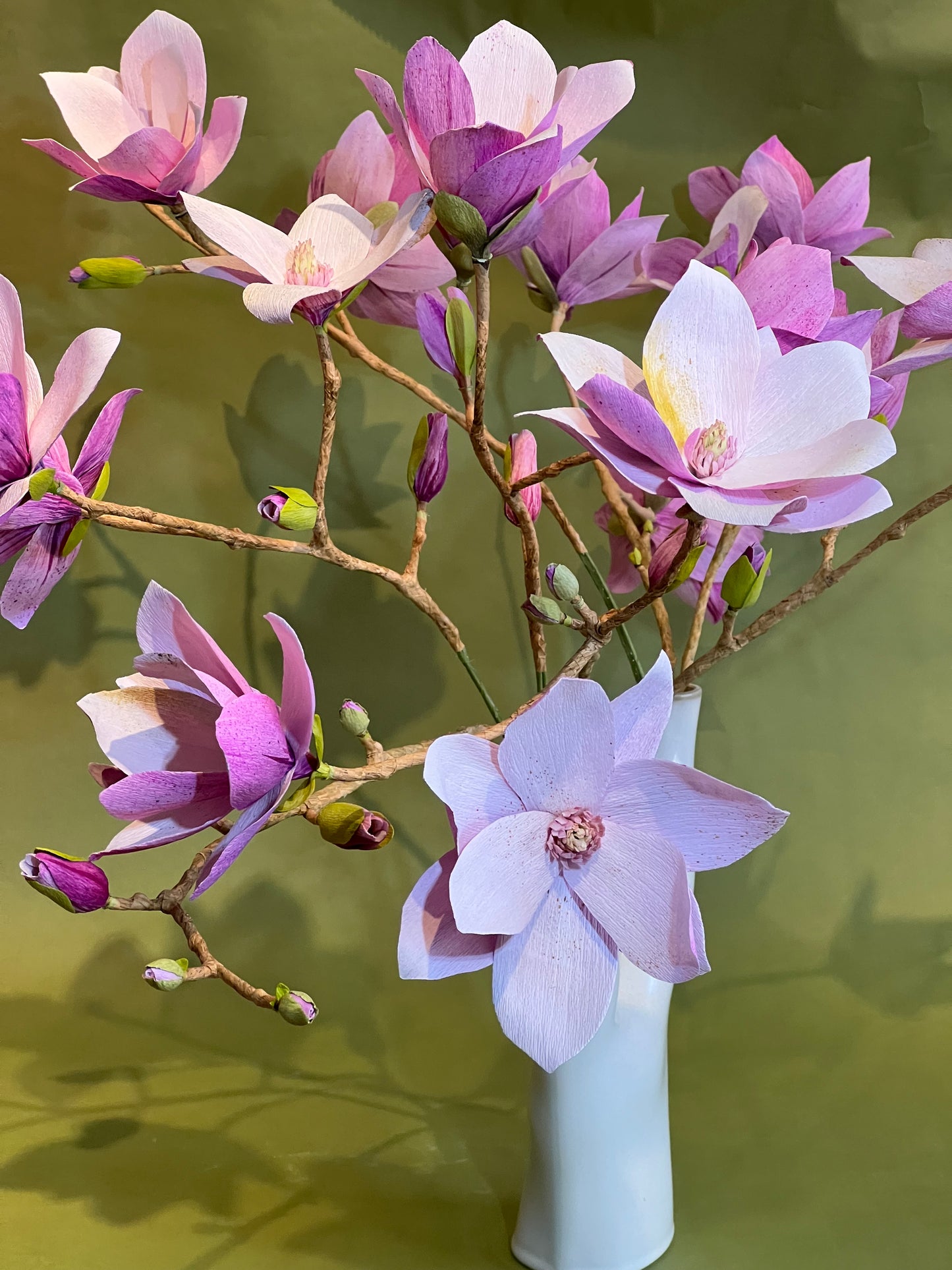 Japanese Magnolia