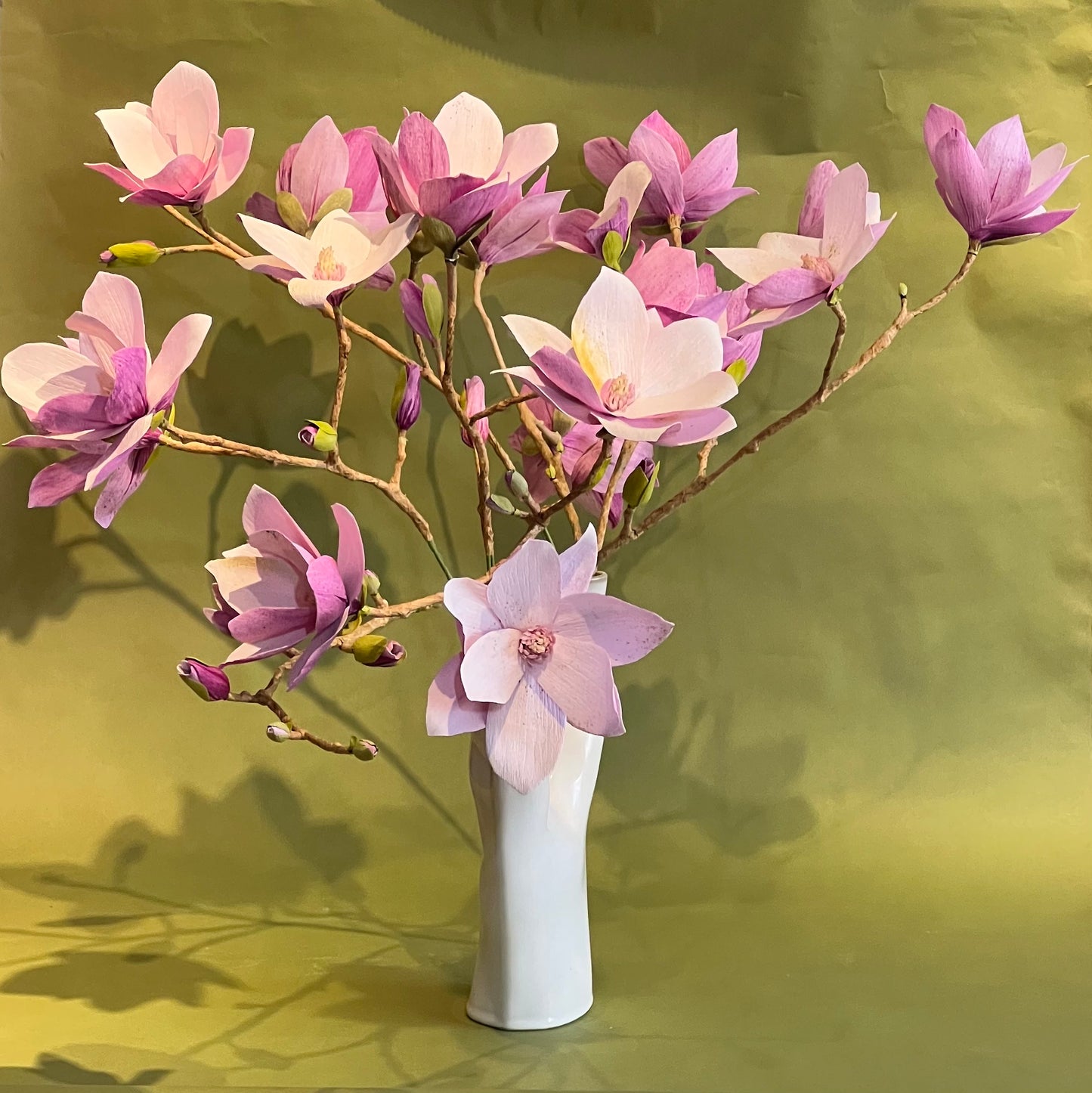 Japanese Magnolia