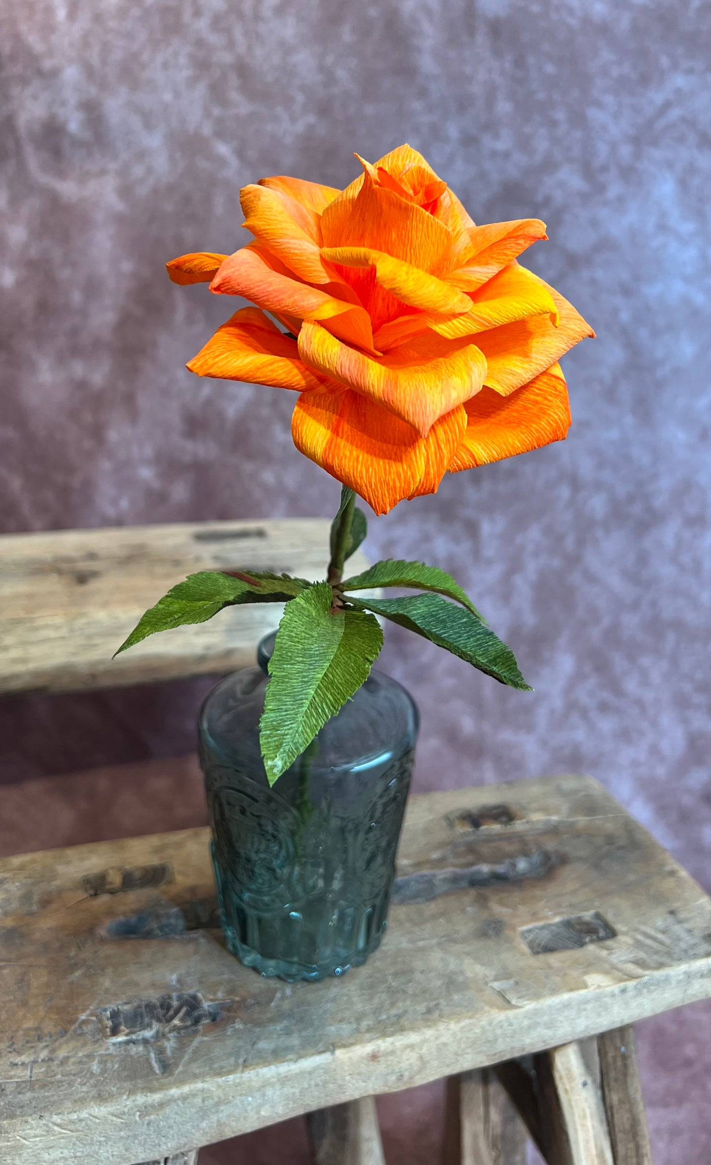 Garden Rose Orange