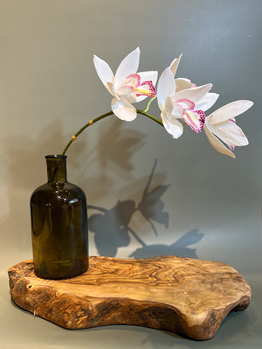 Cymbidium Orchid in vase