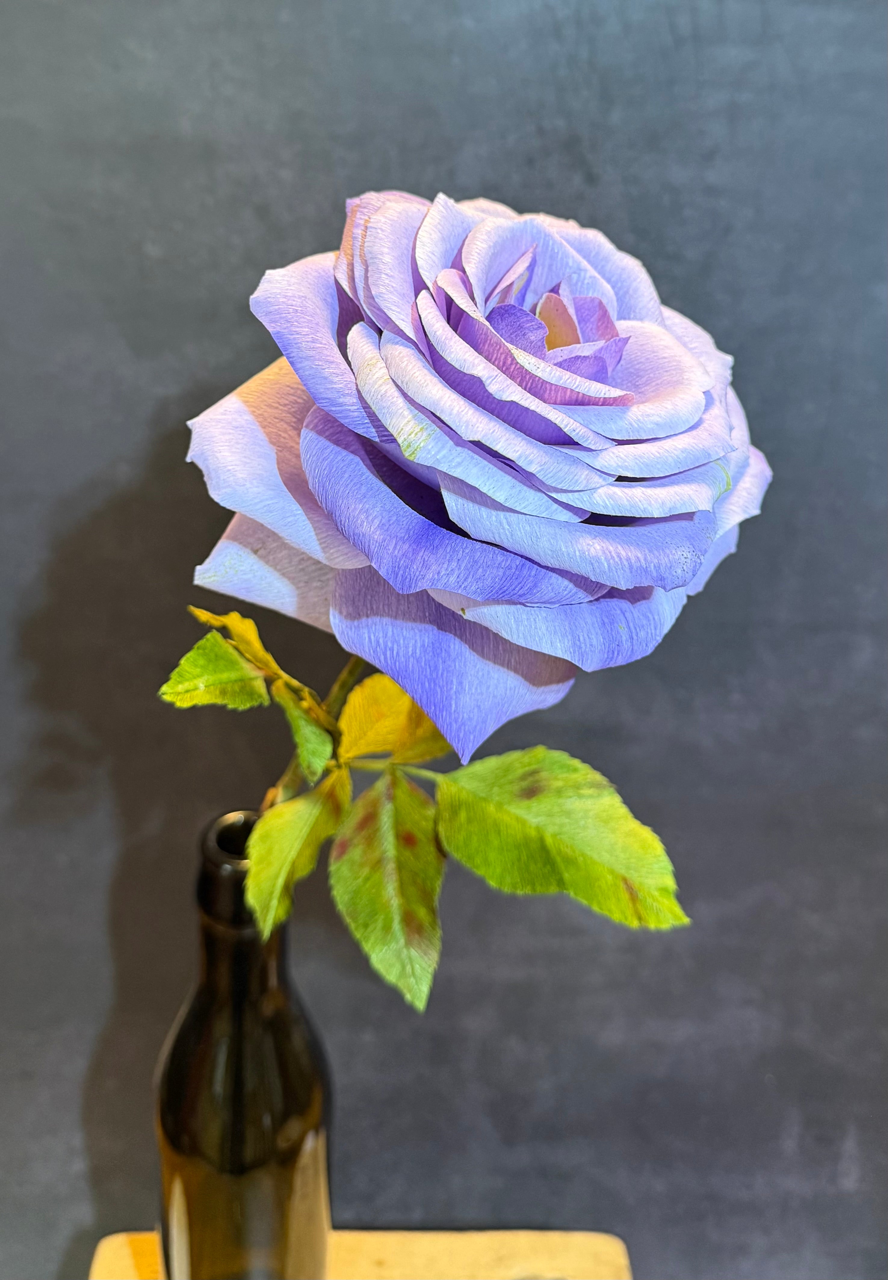 Long Stem Large Purple Rose