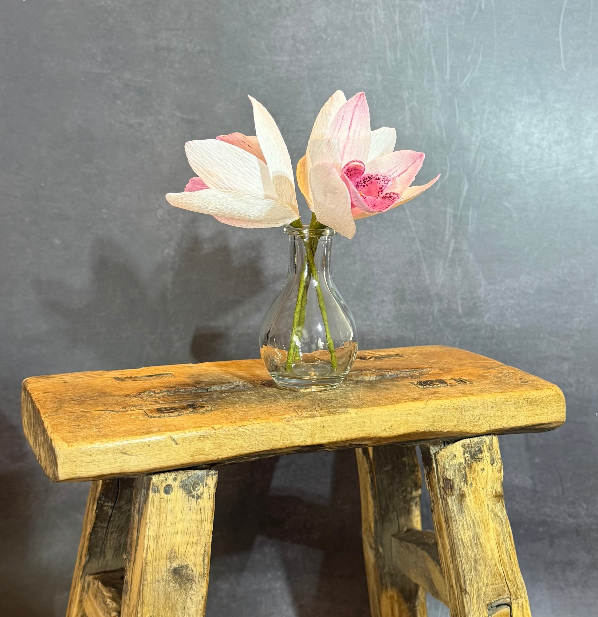 Cymbidium florets in vase