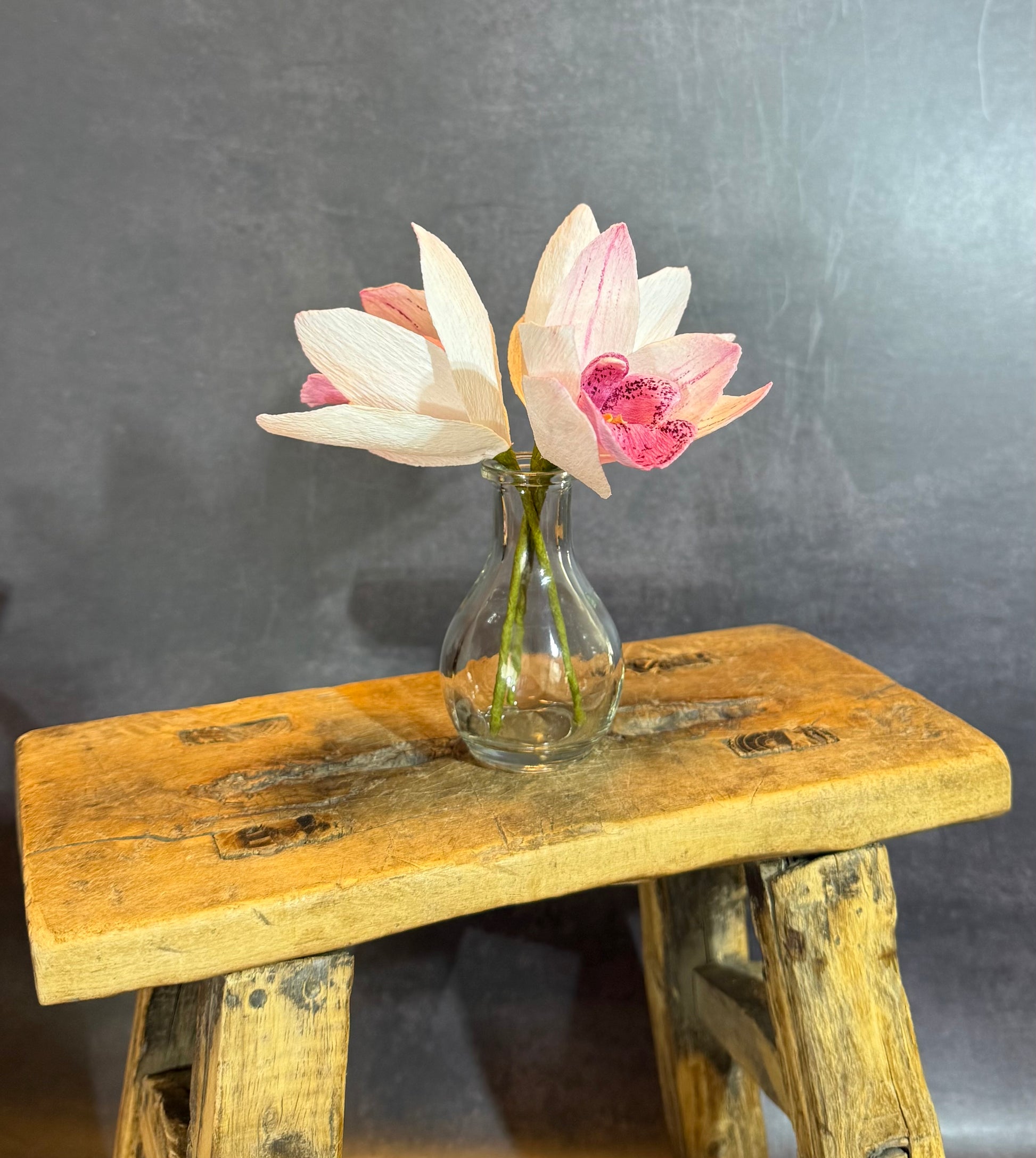 Cymbidium florets in vase