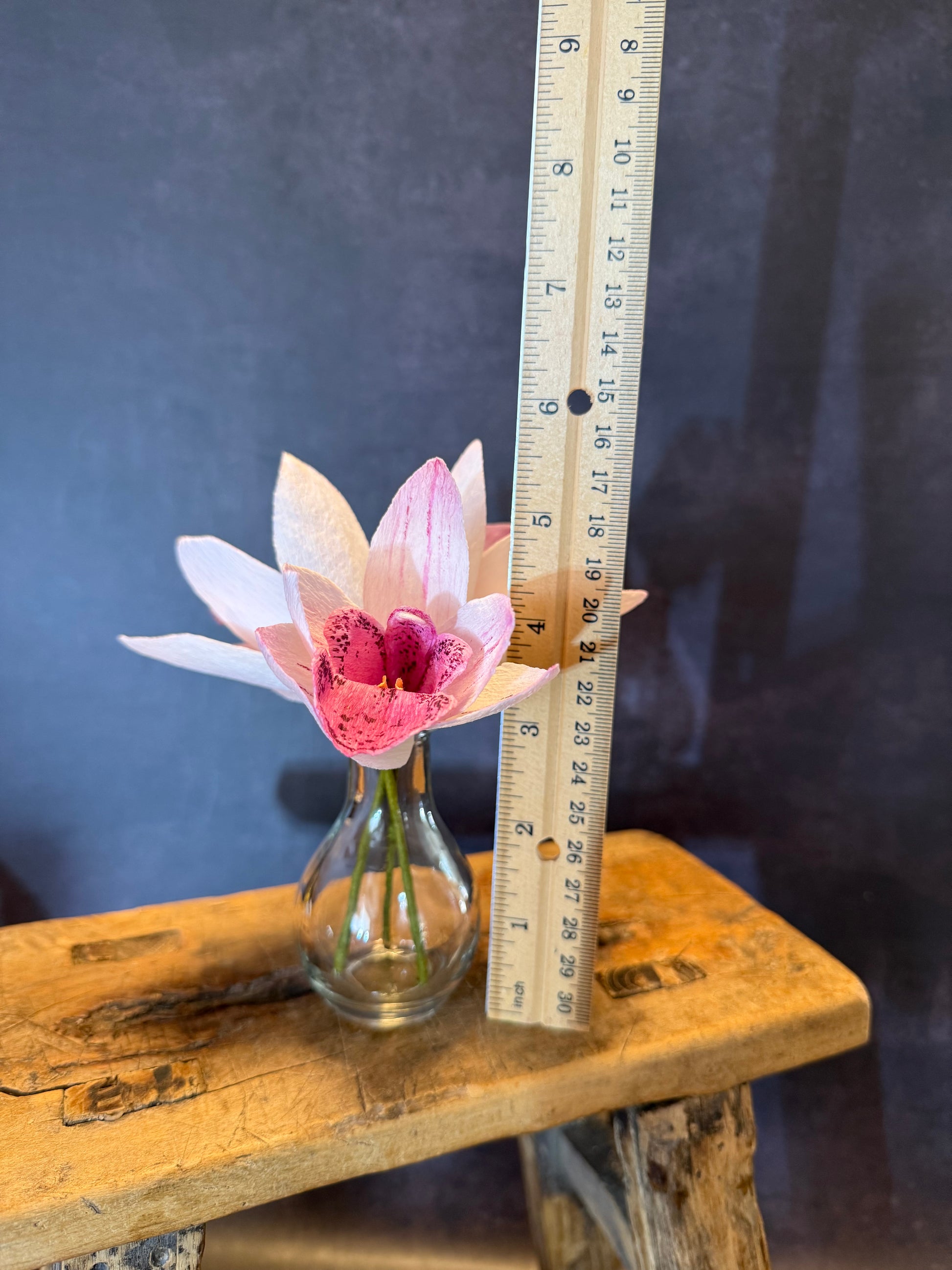 Cymbidium florets in vase