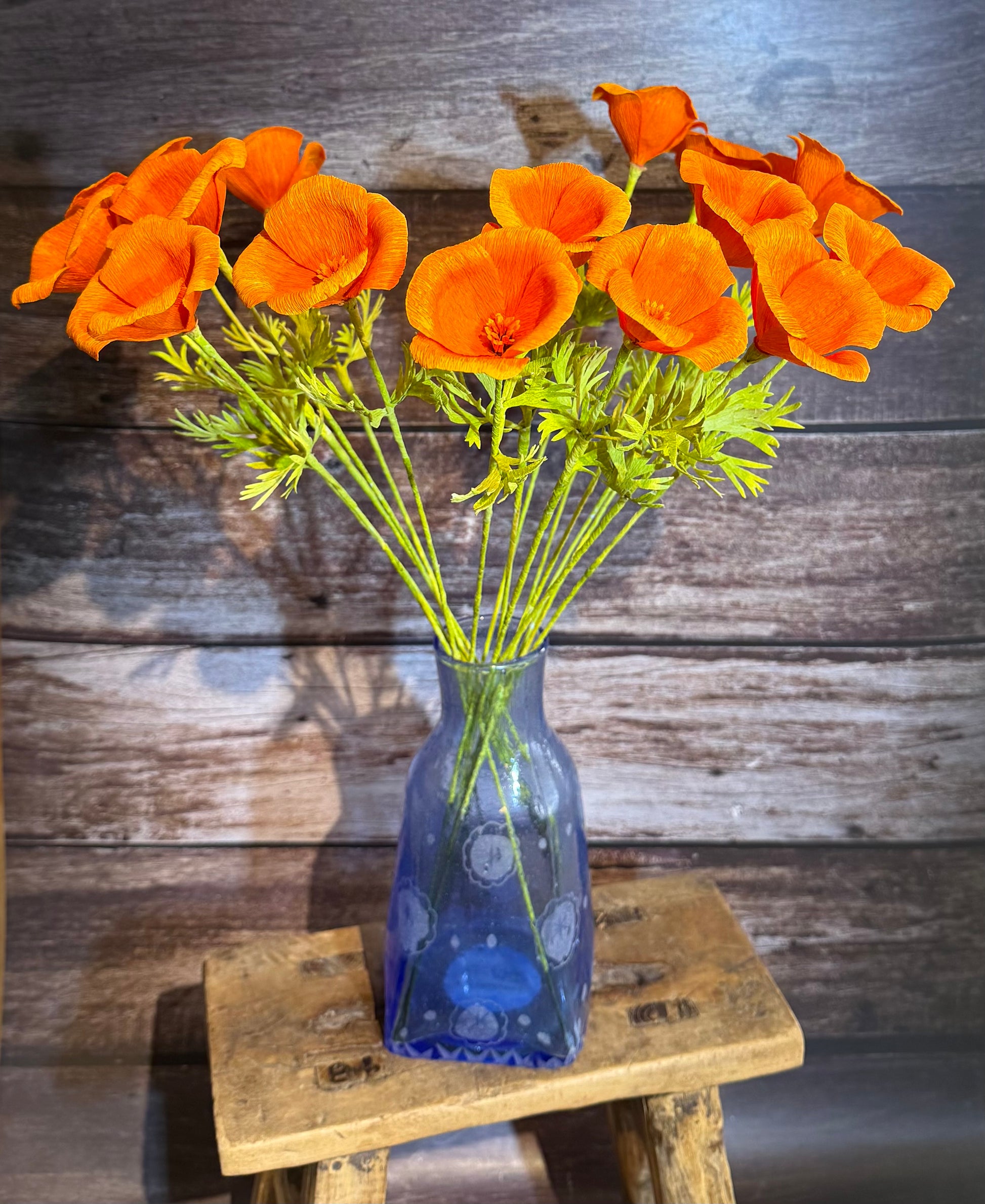 California Poppies
