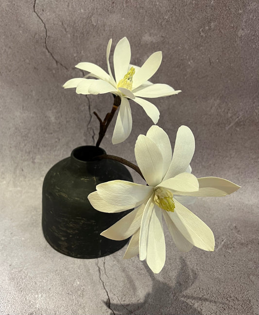 White Star Magnolia in vase