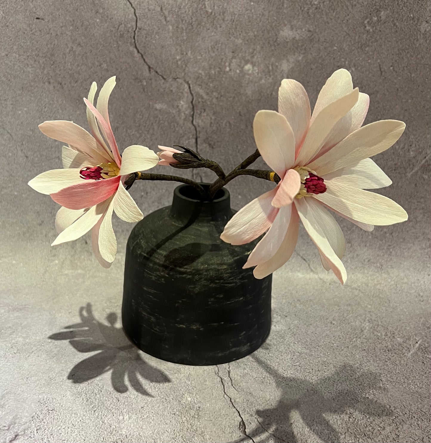 Star Magnolias in vase