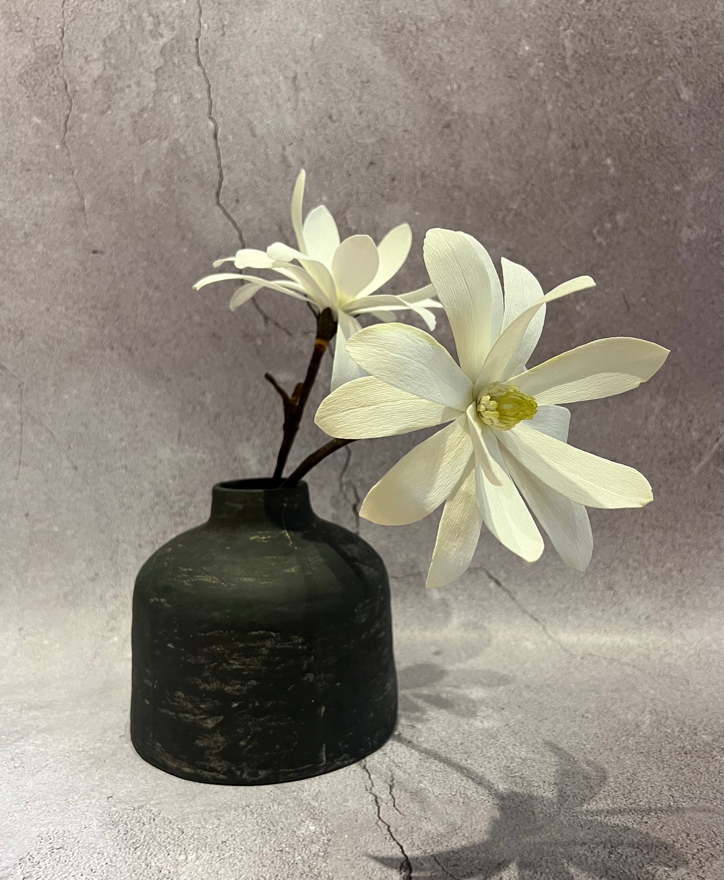 White Star Magnolia in vase