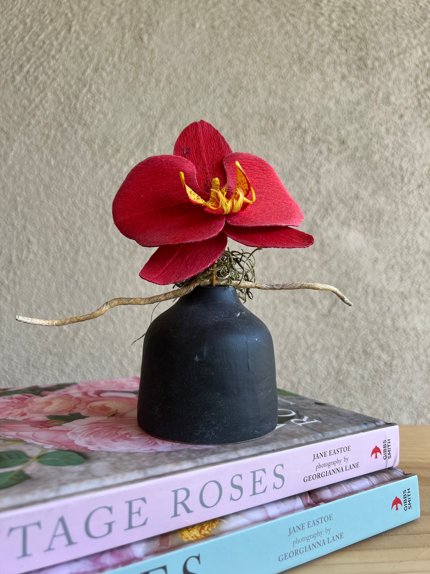 Red Phalaenopsis in vase