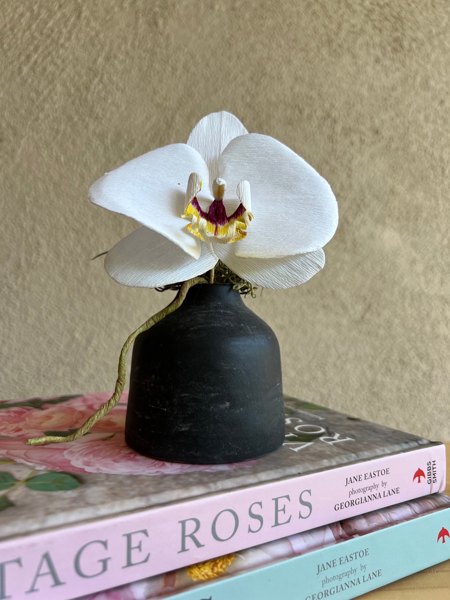 White Phalaenopsis (purple center) in Vase